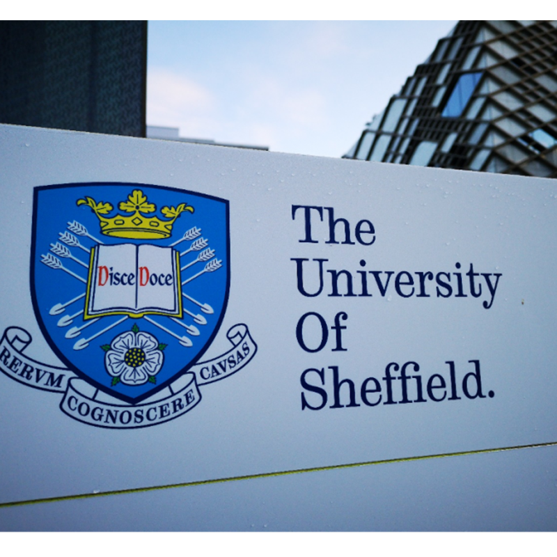 ມະຫາວິທະຍາໄລ Sheffield ຄາດວ່າຈະກາຍເປັນຜູ້ຜະລິດໄຮໂດເຈນສີຂຽວທີ່ໃຫຍ່ທີ່ສຸດຂອງອັງກິດ